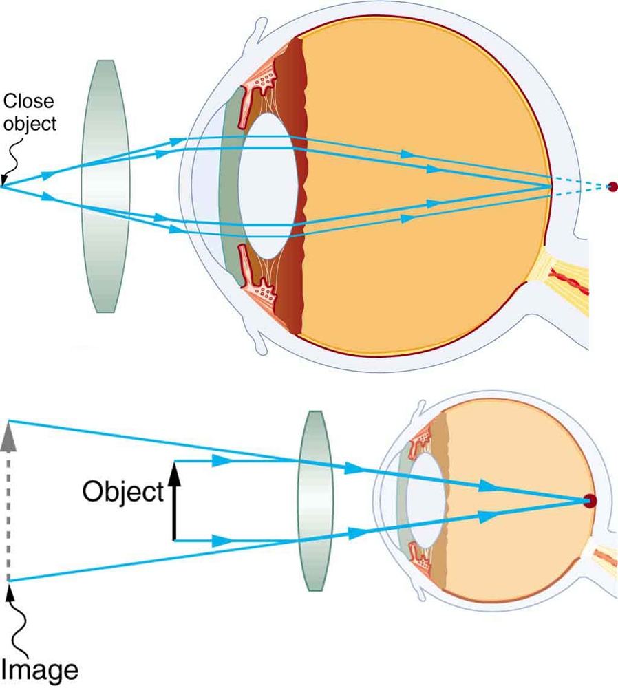 basic-knowledge-of-converging-and-diverging-lenses-definition