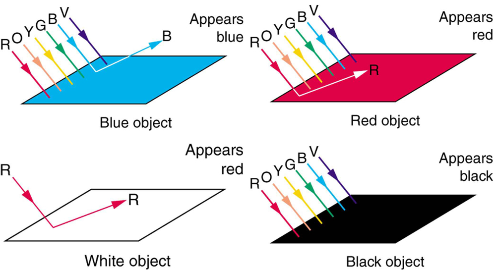 Color and Color Vision · Physics