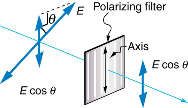 This schematic is another variation of the schematic first introduced two figures prior. To the left of the vertically oriented polarizing filter is a double headed blue arrow oriented in the plane perpendicular to the propagation direction and at an angle theta with the vertical. After the polarizing filter a smaller vertical double headed arrow appears, which is labeled E cosine theta.