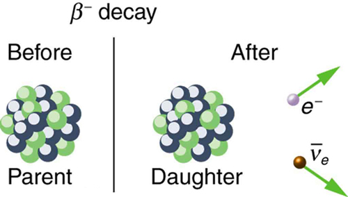 Nuclear Decay and Conservation Laws · Physics