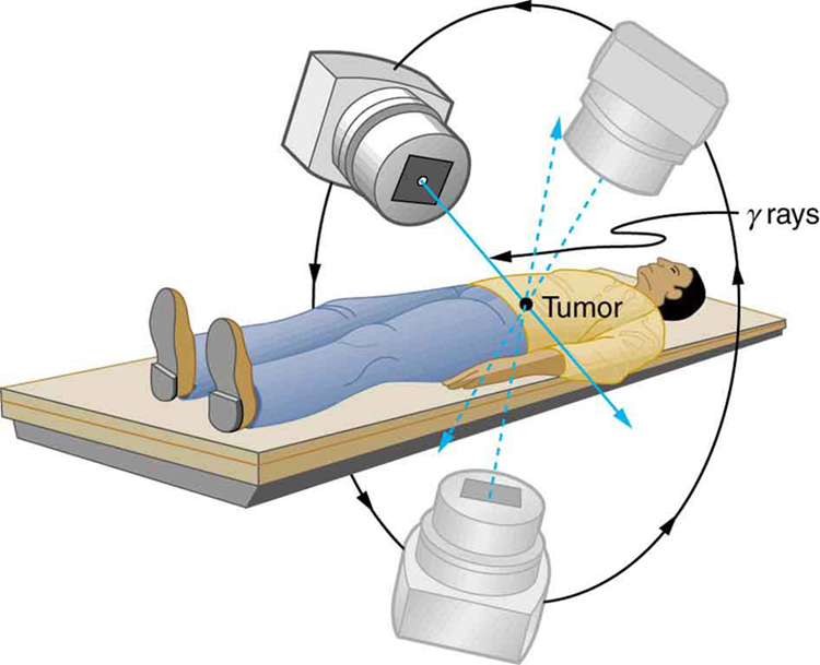 medical radiation physics phd