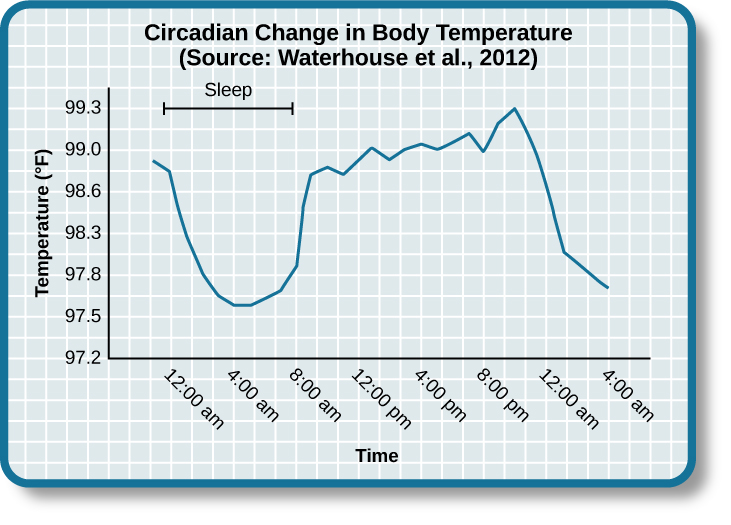 A line graph is titled “Circadian Change in Body Temperature (Source: Waterhouse et al., 2012).” The y-axis, is labeled “temperature (degrees Fahrenheit),” ranges from 97.2 to 99.3. The x-axis, which is labeled “time,” begins at 12:00 A.M. and ends at 4:00 A.M. the following day. The subjects slept from 12:00 A.M. until 8:00 A.M. during which time their average body temperatures dropped from around 98.8 degrees at midnight to 97.6 degrees at 4:00 A.M. and then gradually rose back to nearly the same starting temperature by 8:00 A.M. The average body temperature fluctuated slightly throughout the day with an upward tilt, until the next sleep cycle where the temperature again dropped. 