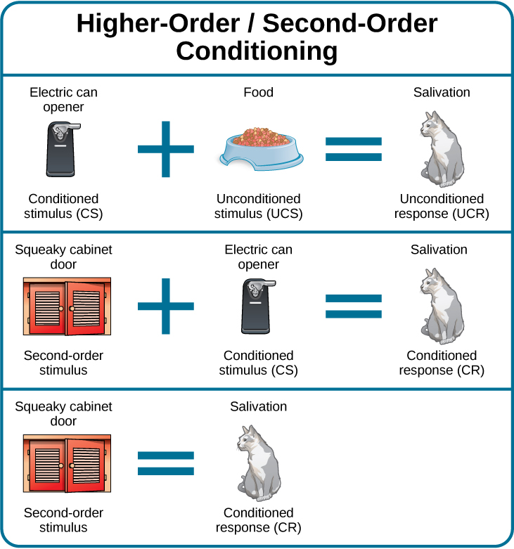 A diagram is labeled “Higher-Order / Second-Order Conditioning” and has three rows. The first row shows an electric can opener labeled “conditioned stimulus” followed by a plus sign and then a dish of food labeled “unconditioned stimulus,” followed by an equal sign and a picture of a salivating cat labeled “unconditioned response.” The second row shows a squeaky cabinet door labeled “second-order stimulus” followed by a plus sign and then an electric can opener labeled “conditioned stimulus,” followed by an equal sign and a picture of a salivating cat labeled “conditioned response.” The third row shows a squeaky cabinet door labeled “second-order stimulus” followed by an equal sign and a picture of a salivating cat labeled “conditioned response.”