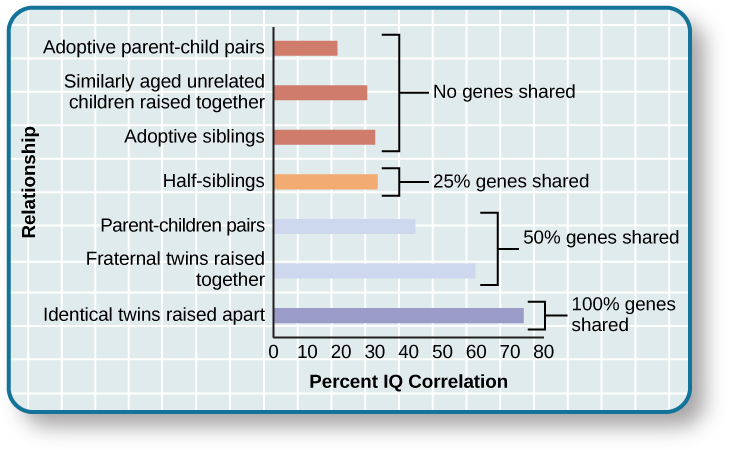 A chart shows correlations of IQs for people of varying relationships. The bottom is labeled “Percent IQ Correlation” and the left side is labeled “Relationship.” The percent IQ Correlation for relationships where no genes are shared, including adoptive parent-child pairs, similarly aged unrelated children raised together, and adoptive siblings are around 21 percent, 30 percent, and 32 percent, respectively. The percent IQ Correlation for relationships where 25 percent of genes are shared, as in half-siblings, is around 33 percent. The percent IQ Correlation for relationships where 50 percent of genes are shared, including parent-children pairs, and fraternal twins raised together, are roughly 44 percent and 62 percent, respectively. A relationship where 100 percent of genes are shared, as in identical twins raised apart, results in a nearly 80 percent IQ correlation.