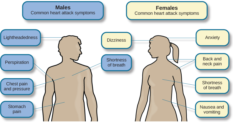 Stress And Illness · Psychology 7549