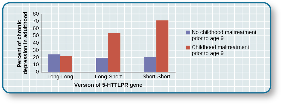 A bar graph has an x-axis labeled “version of 5-HTTLPR gene” and a y-axis labeled “percent of chronic depression in adulthood.” Data compares the type of gene combination and whether childhood maltreatment occurred prior to age 9. People with no childhood maltreatment prior to age 9 have a percentage of chronic depression of approximately 23% with the long-long gene, 19% with the long-short gene, and 20% with the short-short gene. People with childhood maltreatment prior to age 9 have a percentage of chronic depression of approximately 22% with the long-long gene, 53% with the long-short gene, and 71% with the short-short gene.